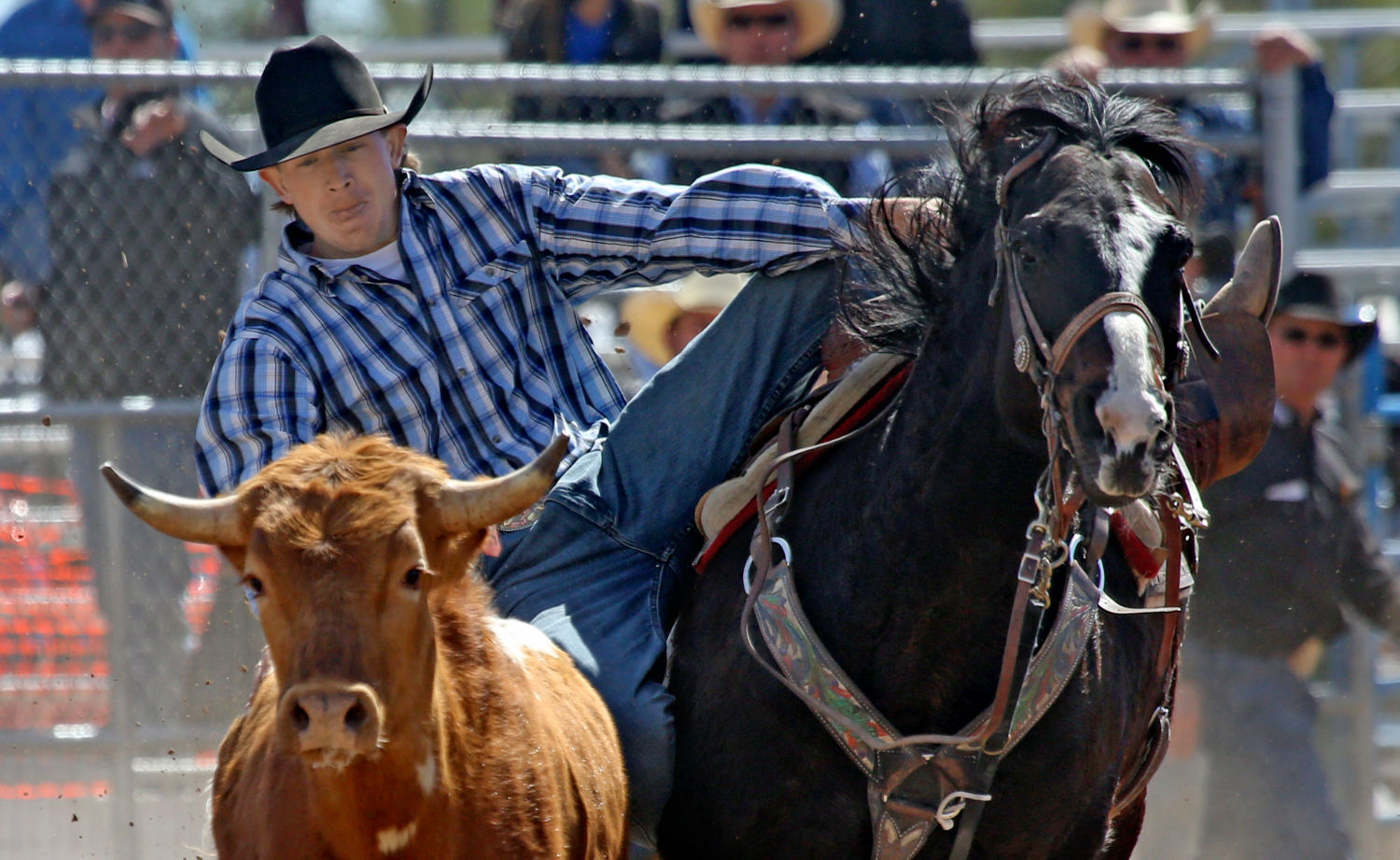 La Fiesta de los Vaqueros